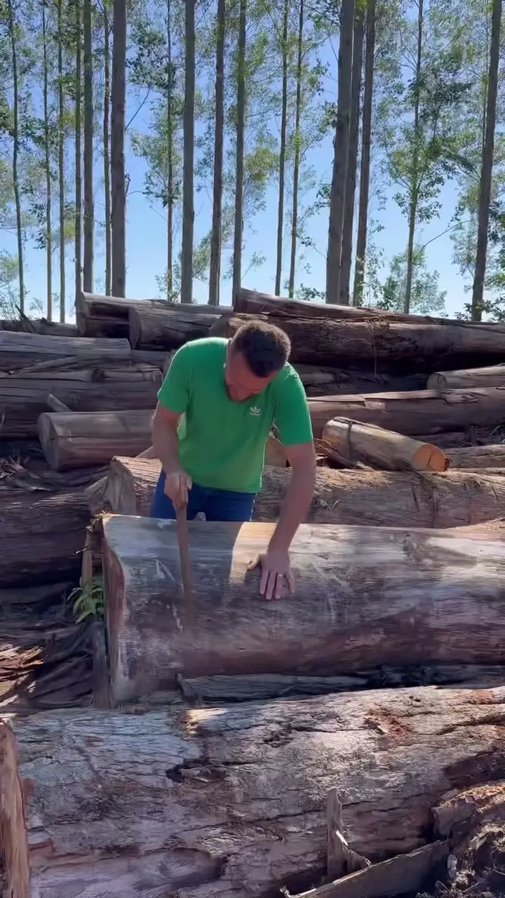 Lucas cortando leña de eucalipto